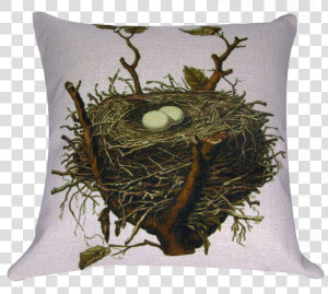 Transparent Bird Nest Png   Sparrow Nest Clipart  Png Download