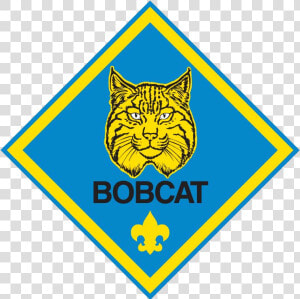 The Bobcat Rank Badge Is The First Rank In Cub Scouts   Cub Scout Ranks  HD Png Download