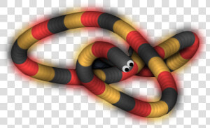 Sonoran Coral Snake  HD Png Download