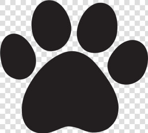 Cat Paws Png Hd   Cat Paw Print Png  Transparent Png