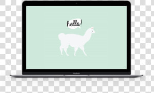 Alpaca Laptop   Llama  HD Png Download