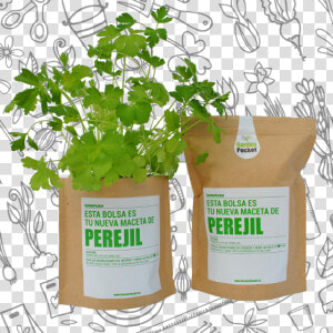 Kit De Cultivo De Huerto Urbano De Flores Aromáticas   Houseplant  HD Png Download