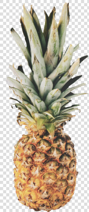 Pineapple Png Image   Pineapple Wallpaper Quotes  Transparent Png