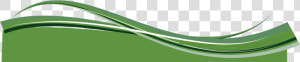 Green Swoosh Png   Green Swoosh Clipart  Transparent Png