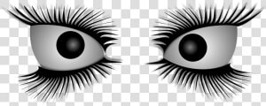 Eyes  Eyelashes  Crazy  Demented  Enrage  Evil  Insane   Crazy Eyes No Background  HD Png Download