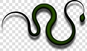 Reptile Serpent Snake Free Picture   Serpent Png  Transparent Png