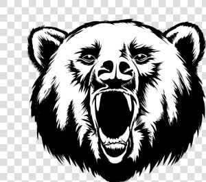 Grizzly Drawing Face   Black Bear Head Drawing  HD Png Download