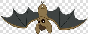 Bat   Bat My Little Pony  HD Png Download