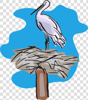 Bird Standing On Nest Svg Clip Arts   Stork Nest Clipart  HD Png Download