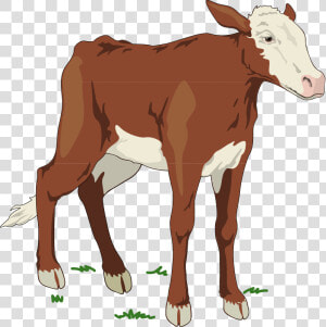 Brown And White Baby Cow Svg Clip Arts   Brown Baby Cow Clipart  HD Png Download