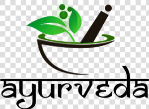 Get Ayurveda   Ayurvedic Cover  HD Png Download