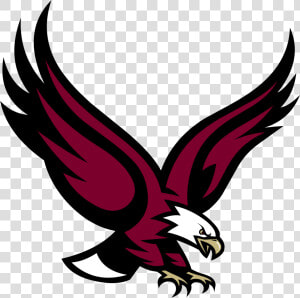 Eagle Vector   Boston College Eagle Logo  HD Png Download