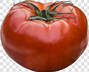 Dreaming Tomatoes  HD Png Download