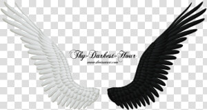 More Like Good And Evil Angel Wings Png 05 By Thy   Black And White Wings Png  Transparent Png