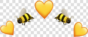  yellow  emoji  emojis  iphone  heart  amarillo  corazon   Corazon Emojis De Iphone  HD Png Download