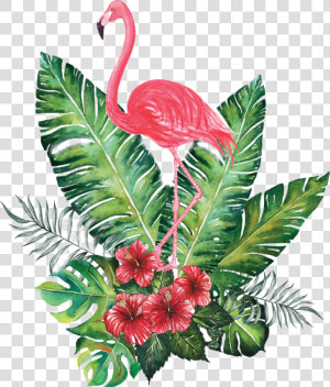 Flower Crowns Png  green Flower Crown Png   Tropical Flamingo  Transparent Png