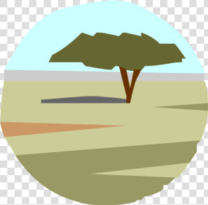 Tropical Rainforest   Png Download   Tropical Savanna Icon Png  Transparent Png