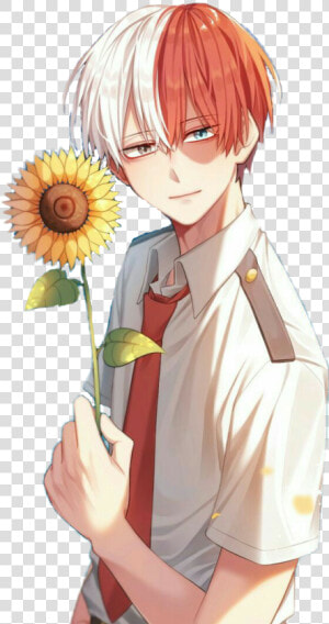  todorokishouto  todoroki  shouto  bnha  myheroacademia   Cute Todoroki With Sunflowers  HD Png Download