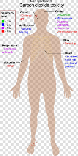 Main Symptoms Of Carbon Dioxide Toxicity Clip Arts   Main Symptoms Of Carbon Dioxide Toxicity  HD Png Download