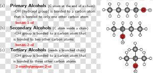 Grade 12 Organic Molecules  HD Png Download