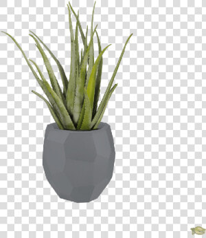 Elho Pure Edge Flower Pot  HD Png Download