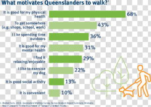 Infographic On What Motivates Queenslanders To Walk    Government Of Queensland  HD Png Download