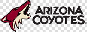 Arizona Coyotes Logo  HD Png Download