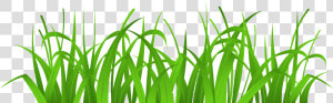 Grass Tallc Clipart Collection Transparent Png   Grass Clip Art  Png Download