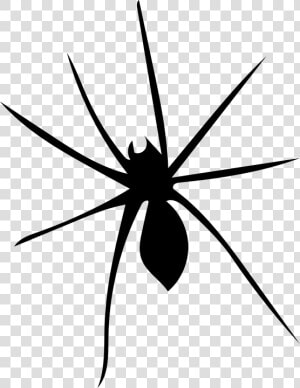 Spider  Arachnophobia  Arachnid  Nature  Scary  Fear  HD Png Download