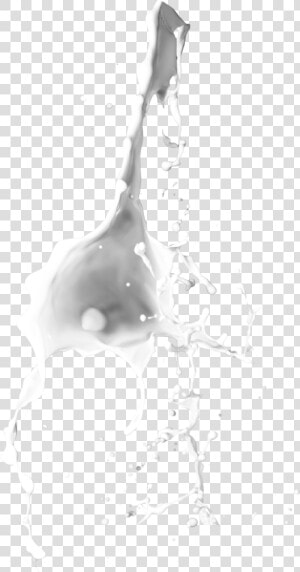 Image Milk Vector Liquid   Spilled Milk Brush Photoshop  HD Png Download