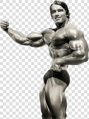 Arnold Schwarzenegger Bodybuilding Png Download Image   Arnold Schwarzenegger Bodybuilding Png  Transparent Png