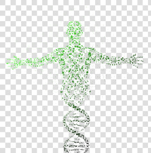 Molecular Structure Of Human Body  HD Png Download