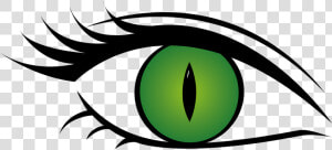 Olho  Gato  Mulher  Olhos Verdes  Cílios  Tampa  Aluno   Transparent Background Eye Clipart  HD Png Download