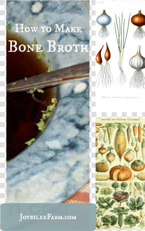 How To Make Bone Broth Joybilee Farm   Shell  HD Png Download