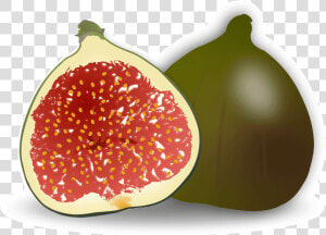 Clip Art Common Fig Accessory Fruit   Fig Clipart  HD Png Download