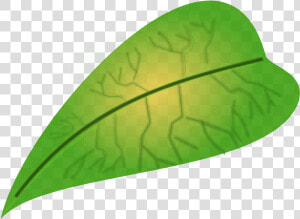 Jungle Leaves Clip Art   Small Leaf Clipart  HD Png Download