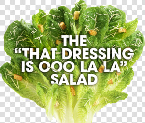 Romaine Lettuce Png  Transparent Png