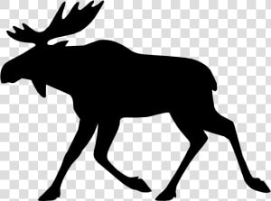 Moose Elk Deer Bear   Moose Icon  HD Png Download