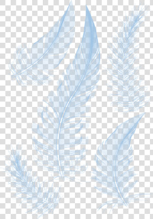 White Feathers Feather Hq Image Free Png Clipart   Powerpoint Background Design Feather  Transparent Png