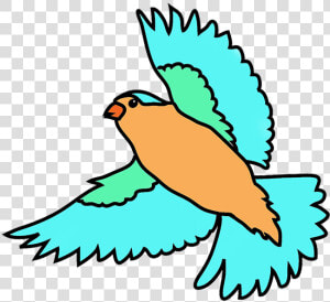 Colorful Flying Birds Png   Free Clipart Birds Flying  Transparent Png