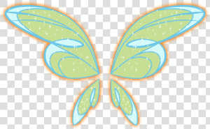 Transparent Insect Wings Png   Winx Club Wings Png  Png Download