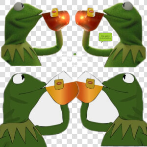 Oi   Kermit The Frog Sipping Tea Drawing  HD Png Download