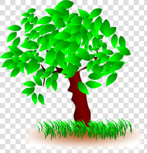 Tree  Leaves  Grass  Nature  Wood  Green   Tree With Leaves Clipart  HD Png Download