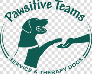 Pawsitive Teams   Dog Catches Something  HD Png Download