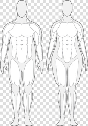 Body Composition Cliparts   Over Weight Human Body  HD Png Download