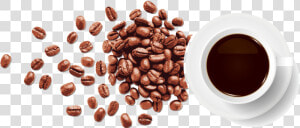 Coffee Bean Espresso   Vector Coffee Beans Png  Transparent Png