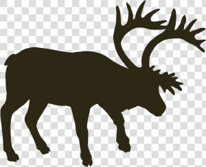 Transparent Moose Antlers Png   Silhouette Musk Ox  Png Download