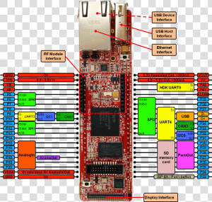 Qsb Pinning Reva   Lpc4088 Quickstart Board  HD Png Download