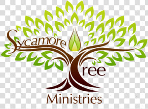 Sycamore Logo   Yoga Tree Logo  HD Png Download