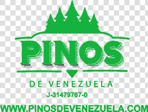 Pinos Png  Transparent Png